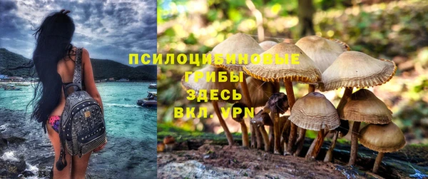 mdpv Армянск